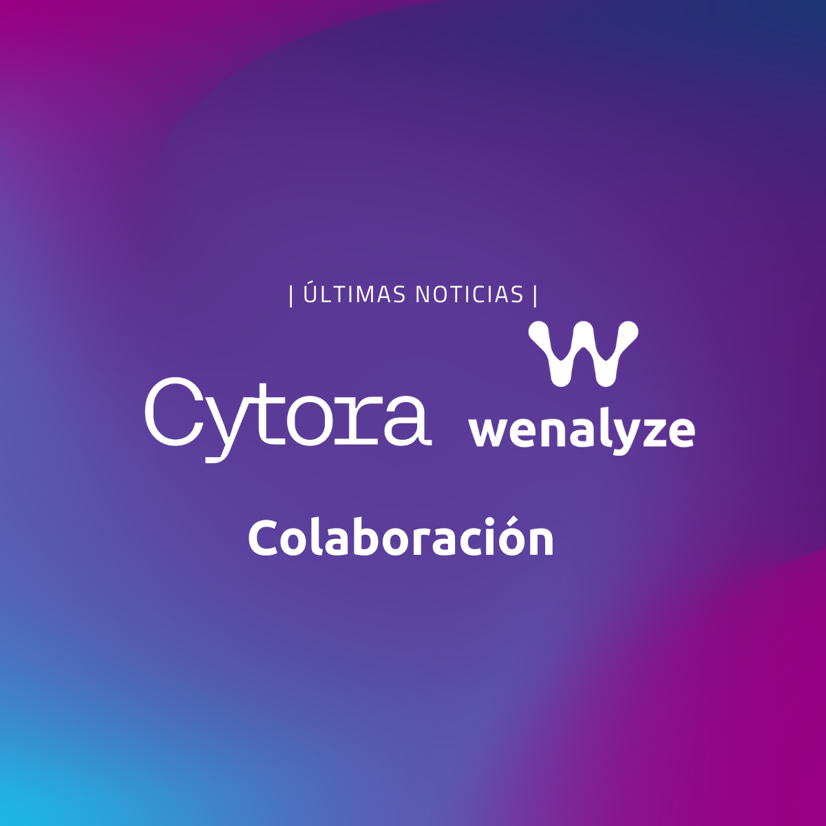 Colaboración Wenalyze con Cytora para mejorar la calidad del dato y la selección de riesgo